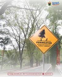 Waspada Pohon Tumbang di Lingkungan Kampus: Kenali Risiko dan Langkah Antisipasinya